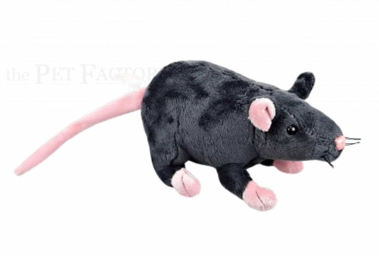 Kuschel Ratte schwarz